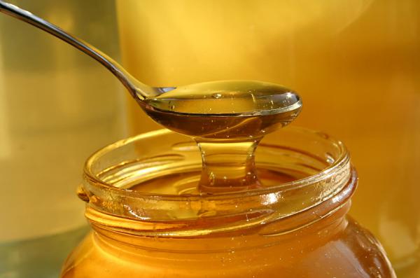 تولید عسل رازیانه ارگانیک در کشور