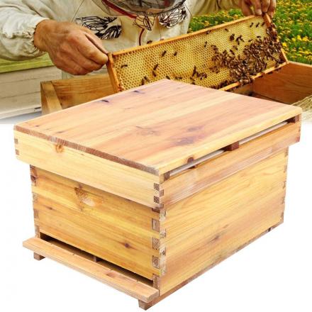 مرجع توزیع کندو عسل طبیعی