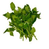 سبزی تازه