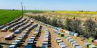 کندوهای-عسل-چهل-گیاه کندوهای تولید عسل چهل گیاه زنبورستان زندو